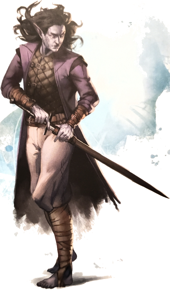 A pale elven man turns and draws his sword